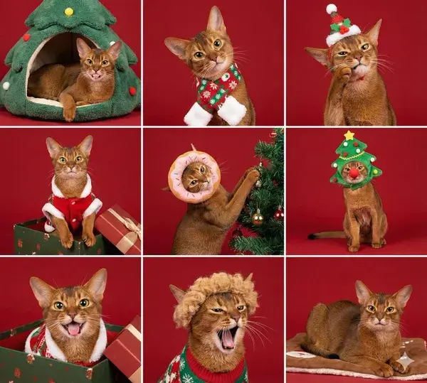Christmas Pet Sudoku