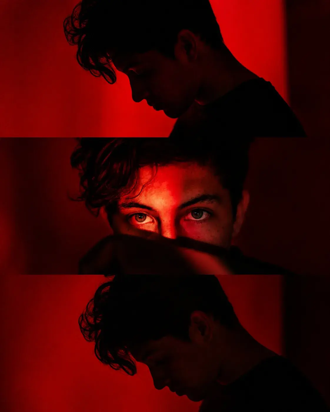 Crimson Shadows
