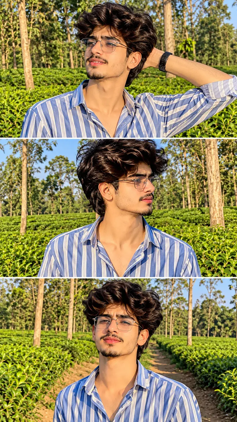 Golden Hour Three-Panel Portrait Of A Man In Striped Shirt 🌿✨