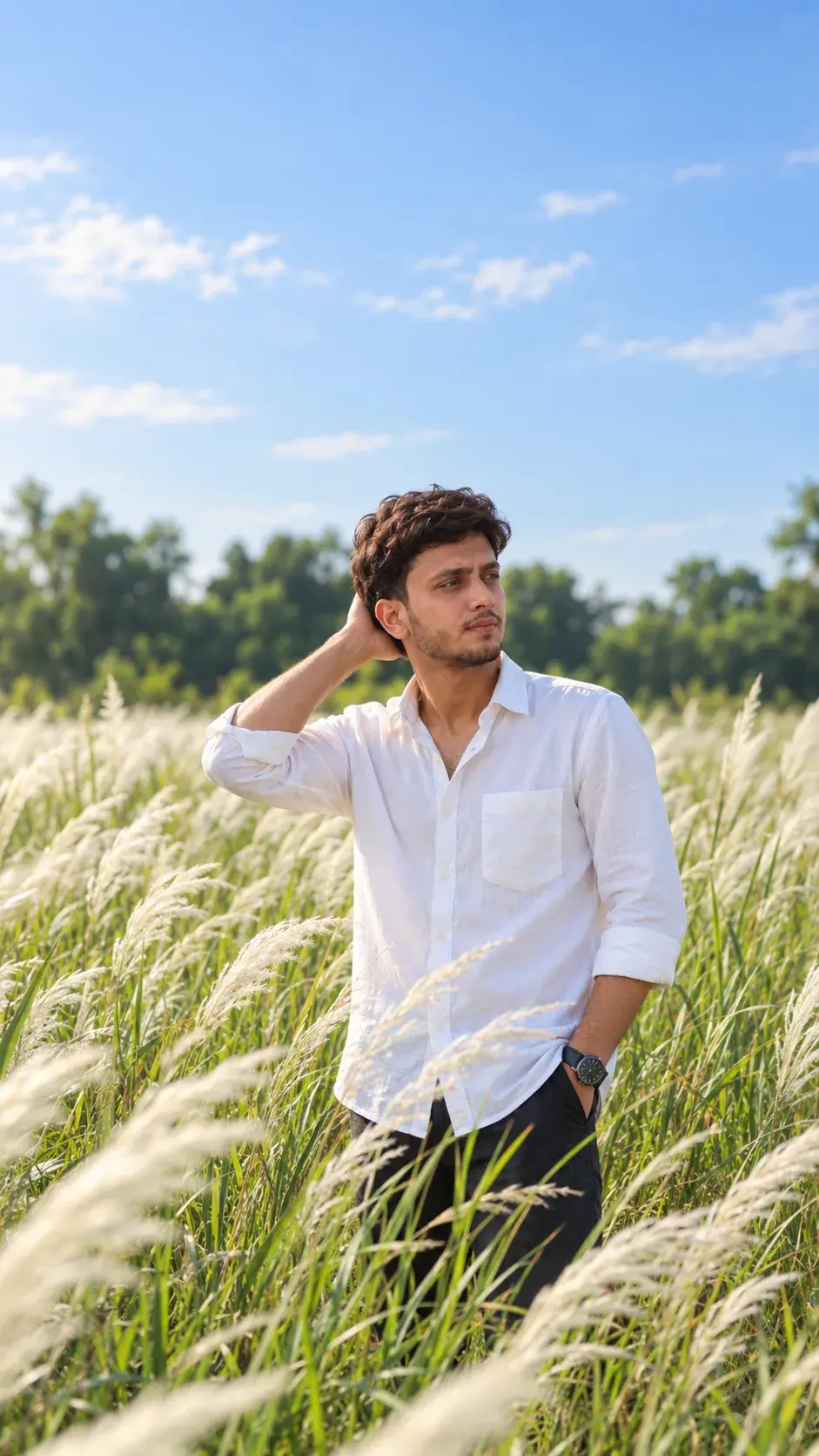Grassland