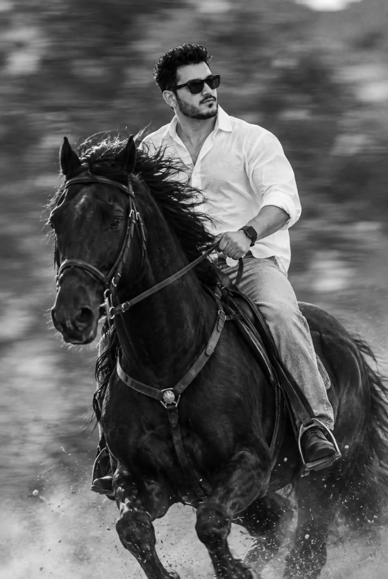 Horse Riding