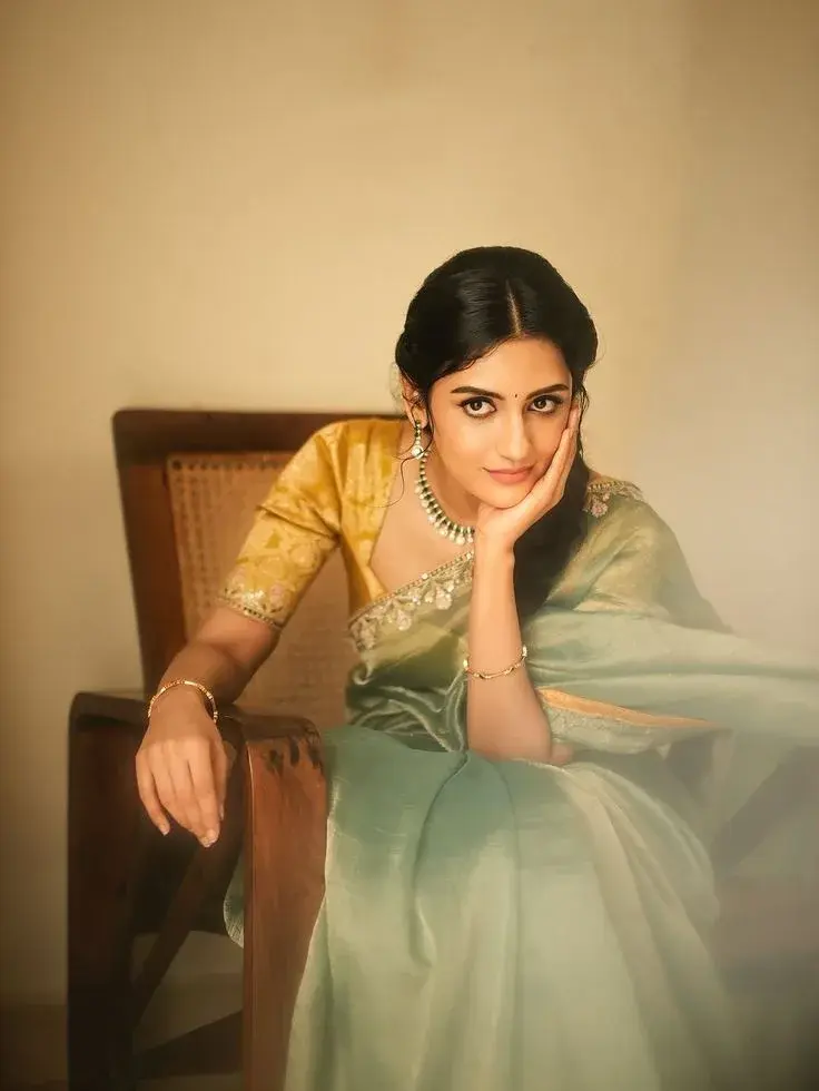 Vintage Green Saree Chair Portrait